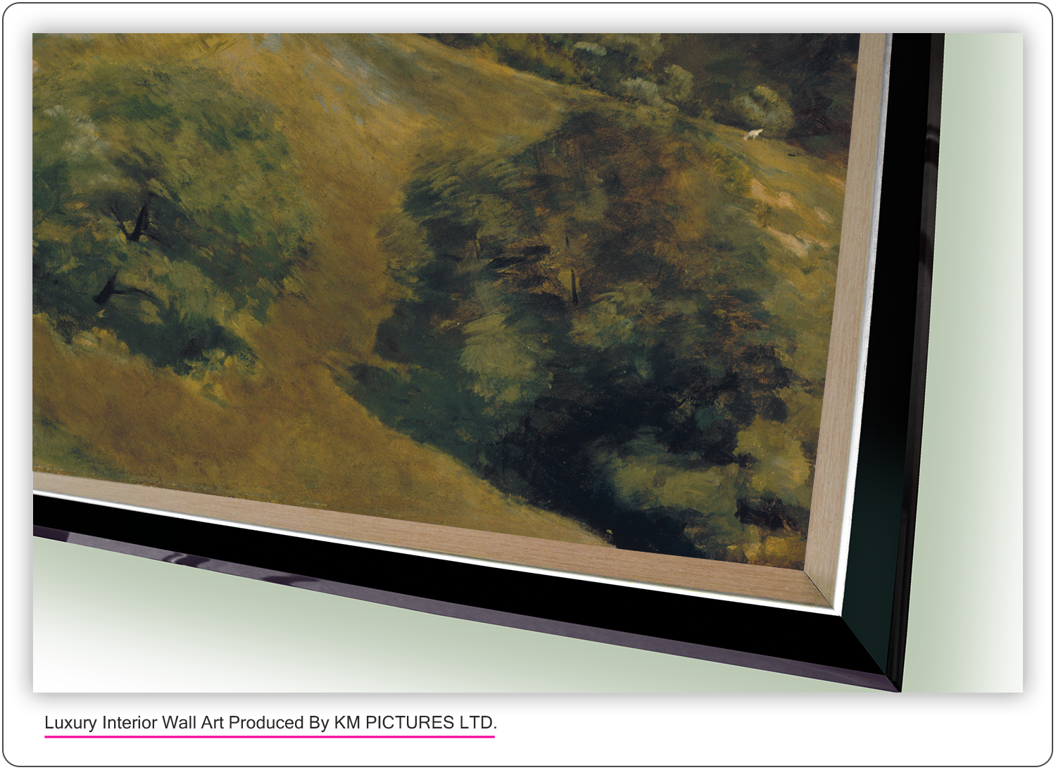 Flying Shadows, 1883