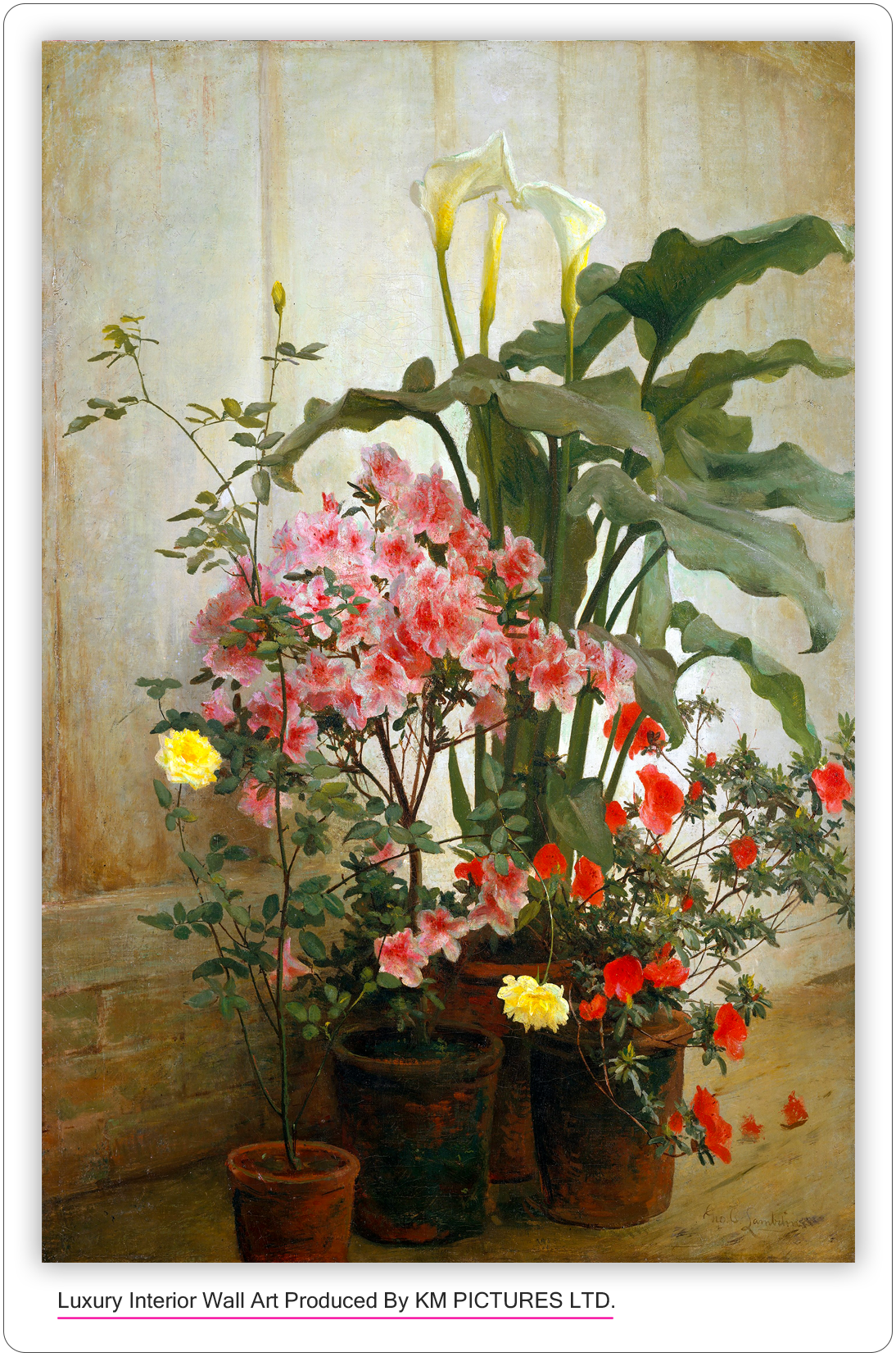 Side of a Greenhouse