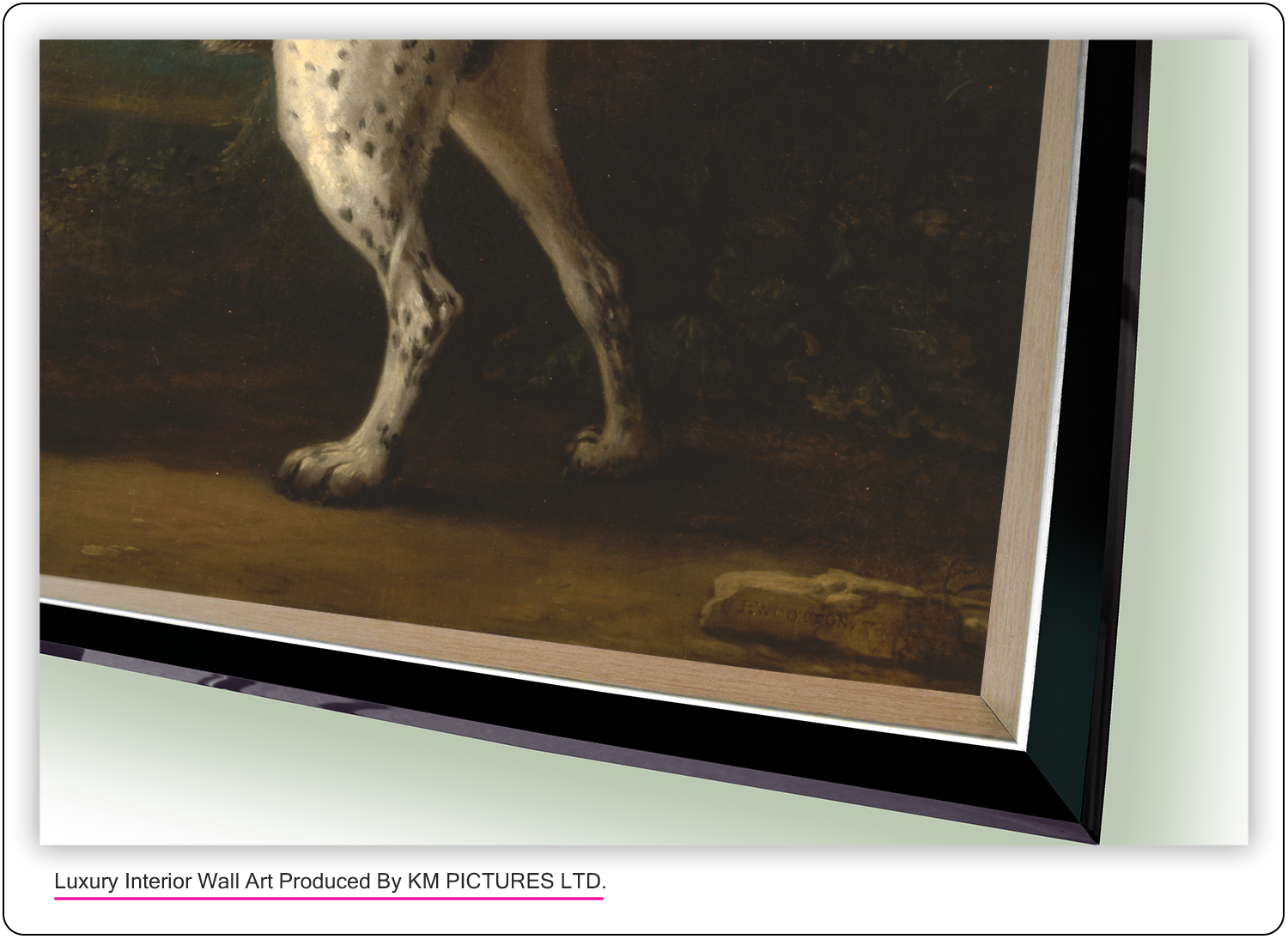 A Grey Spotted Hound, 1738