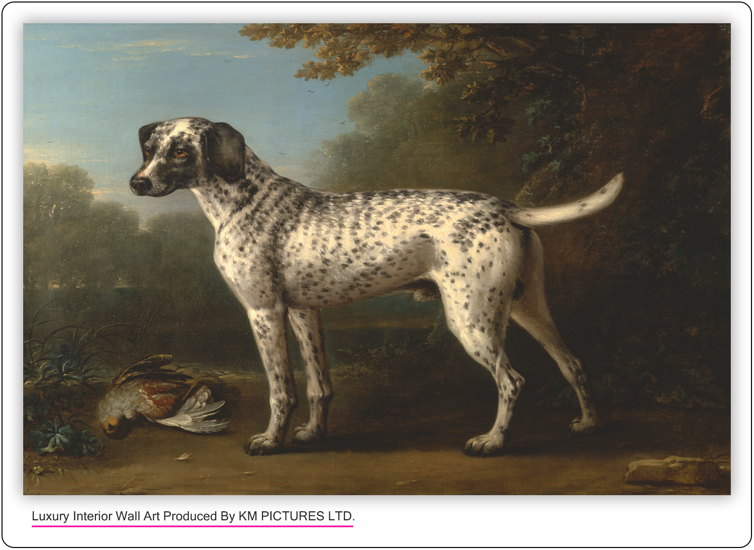 A Grey Spotted Hound, 1738