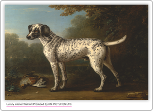 A Grey Spotted Hound, 1738