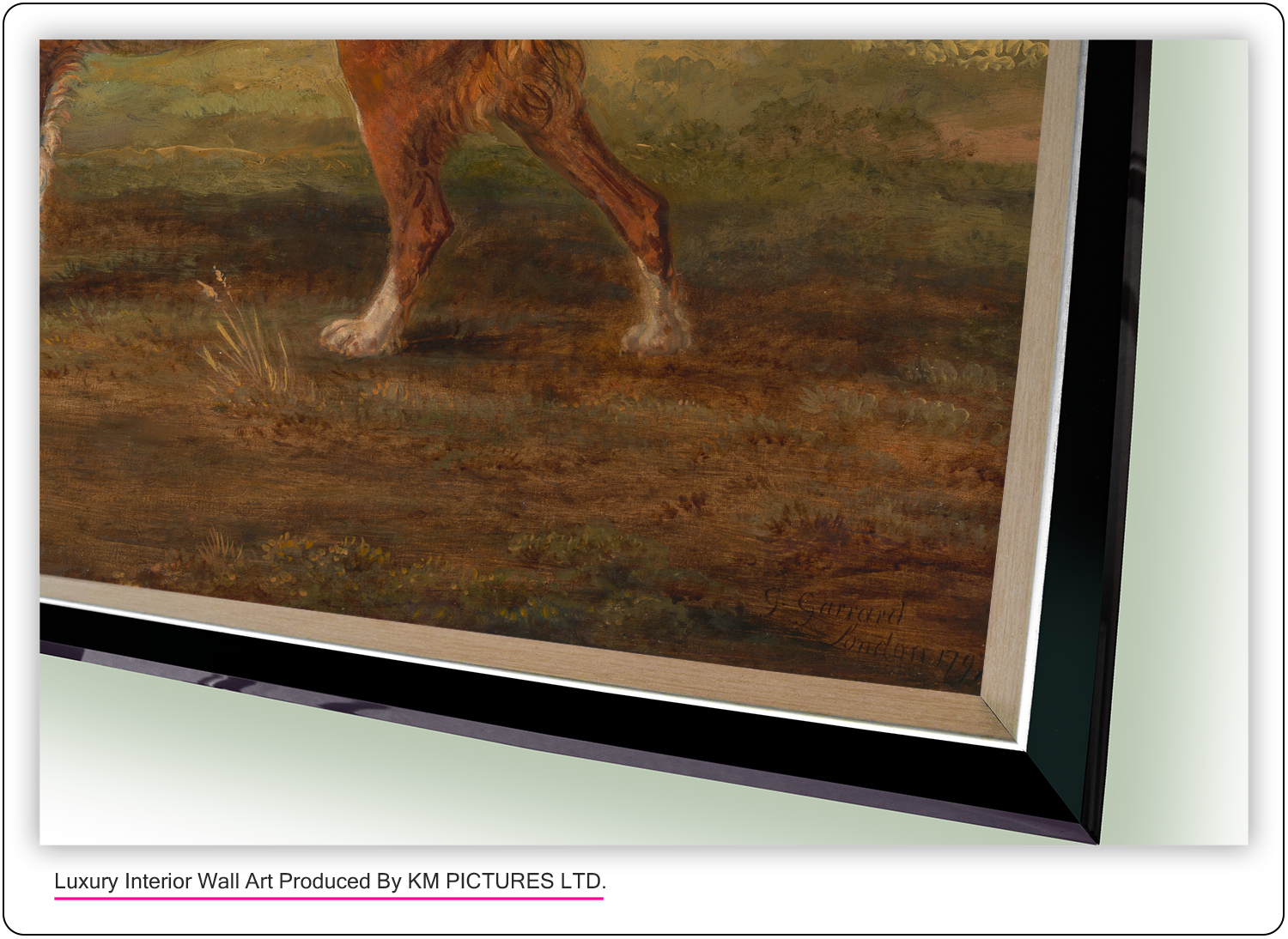 Ranger, a setter, the property of Elizabeth Gray, 1797