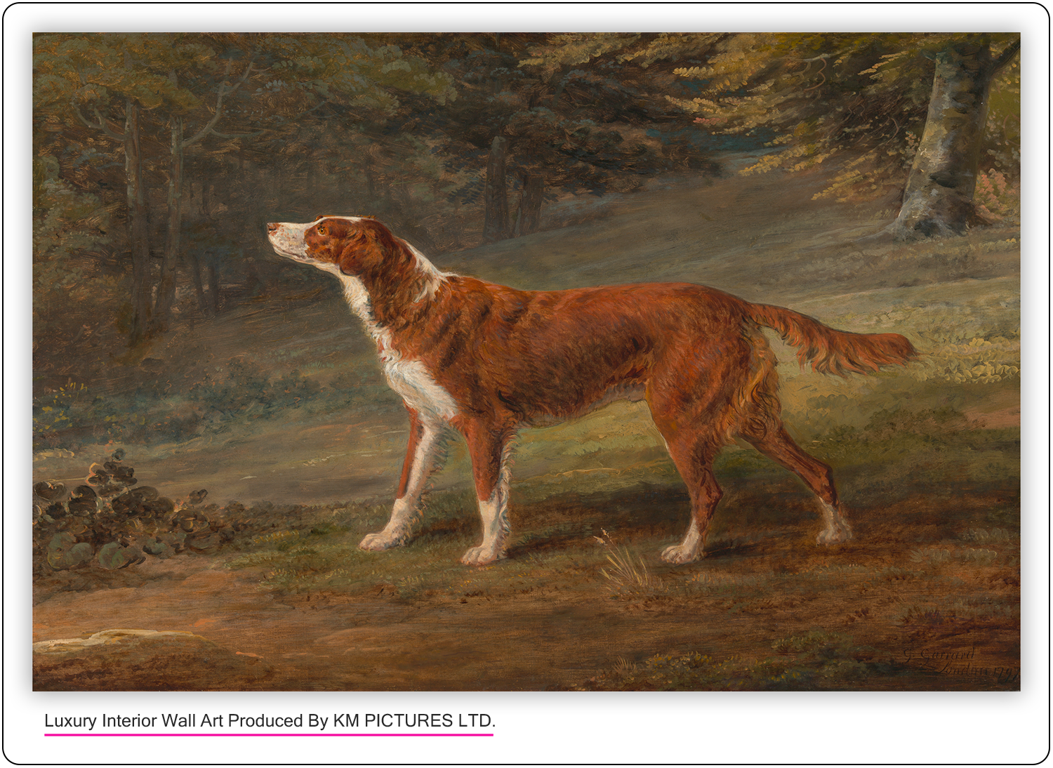 Ranger, a setter, the property of Elizabeth Gray, 1797
