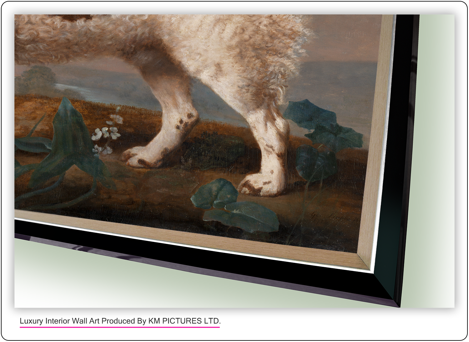 Brown and White Norfolk or Water Spaniel, 1778