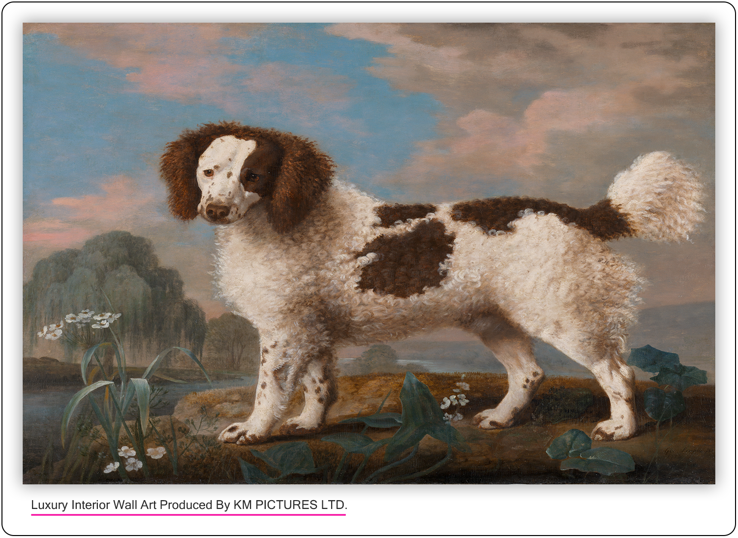 Brown and White Norfolk or Water Spaniel, 1778
