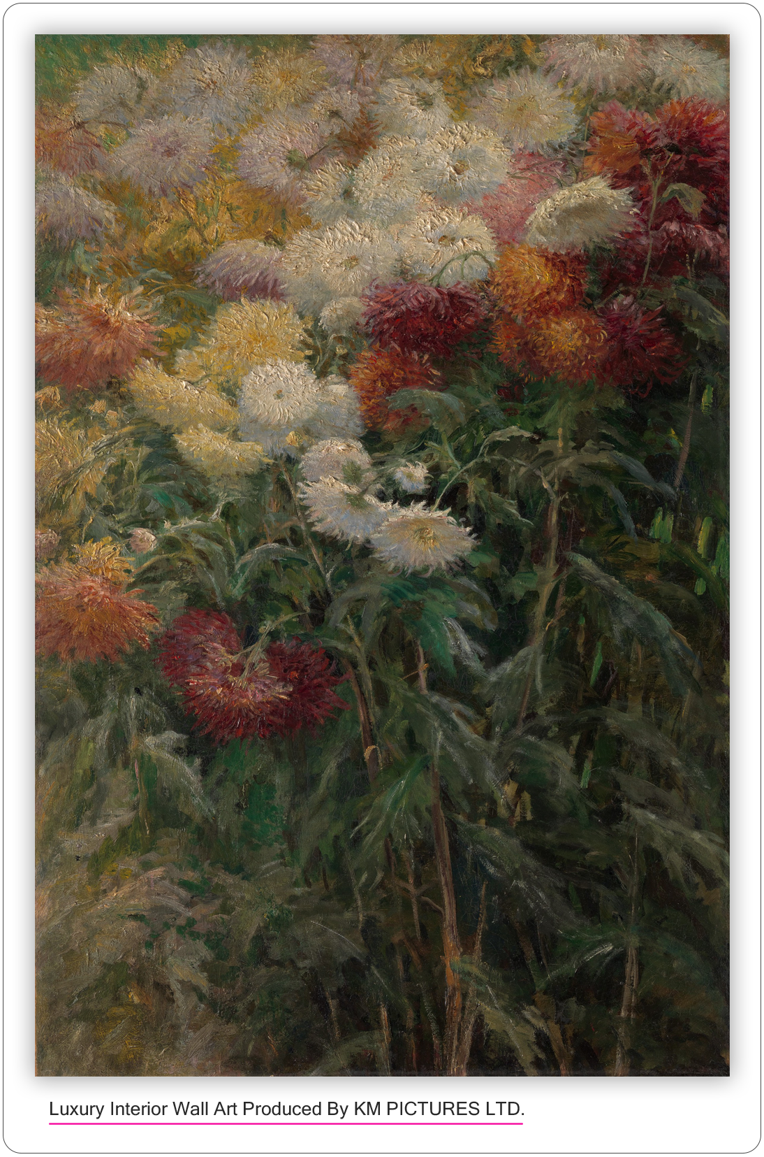 Chrysanthemums in the Garden at Petit-Gennevilliers