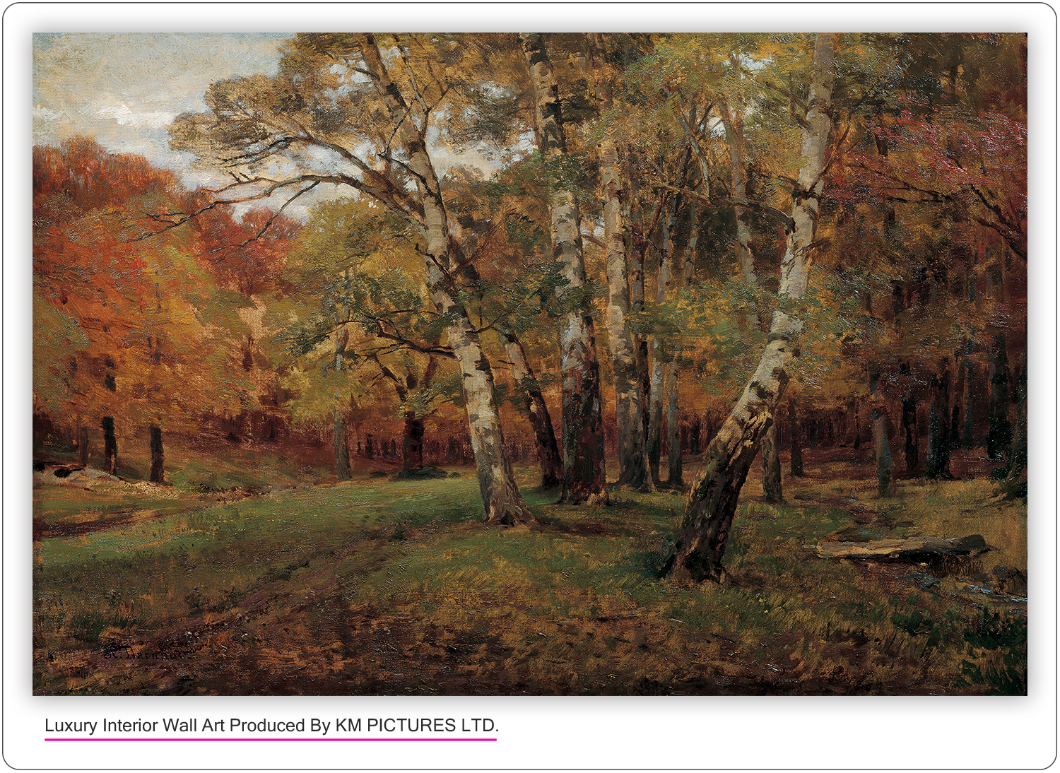 Landscape with birch trees.  around 1901