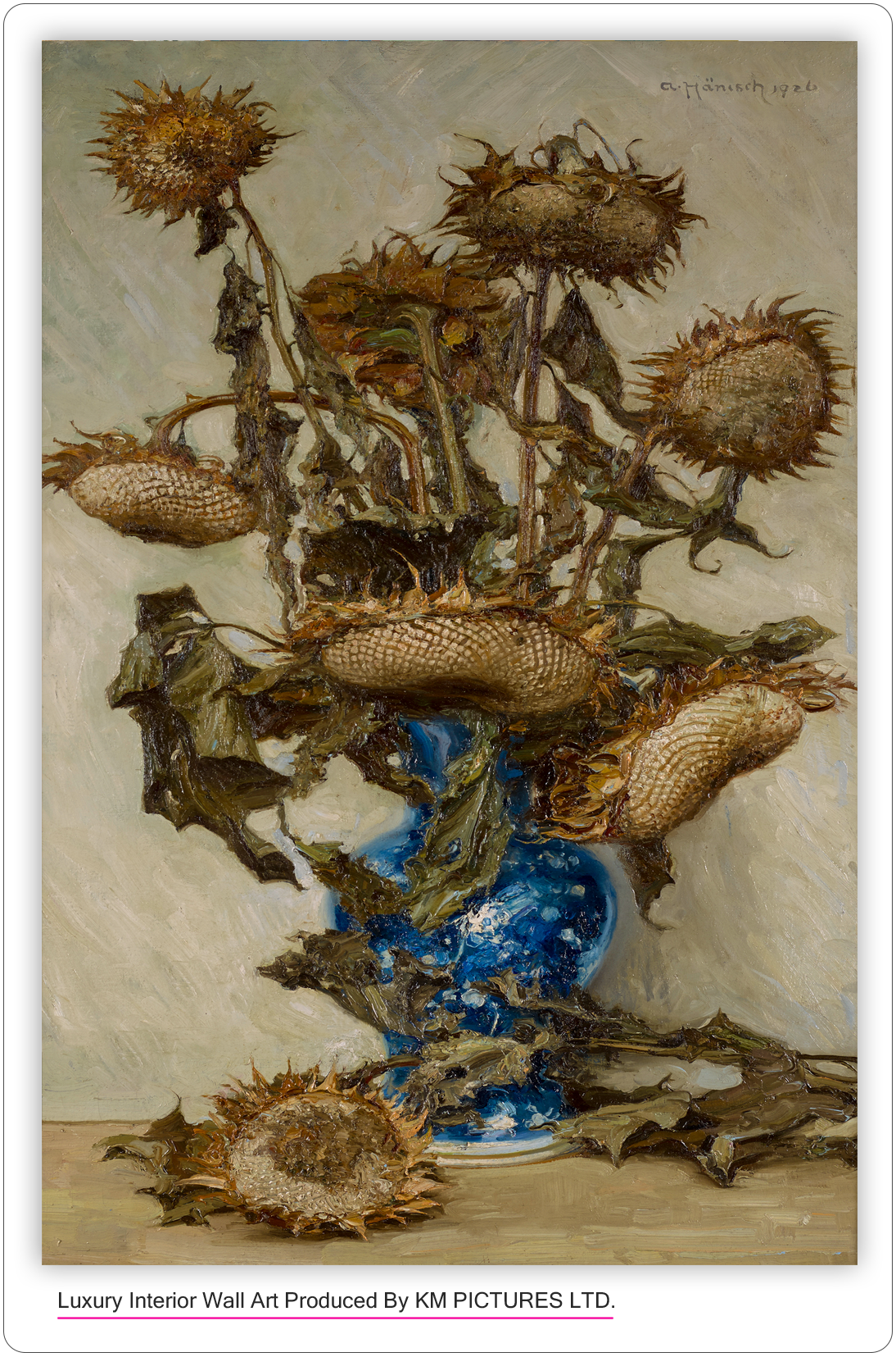 Helianthus, Withered sunflowers. 1926