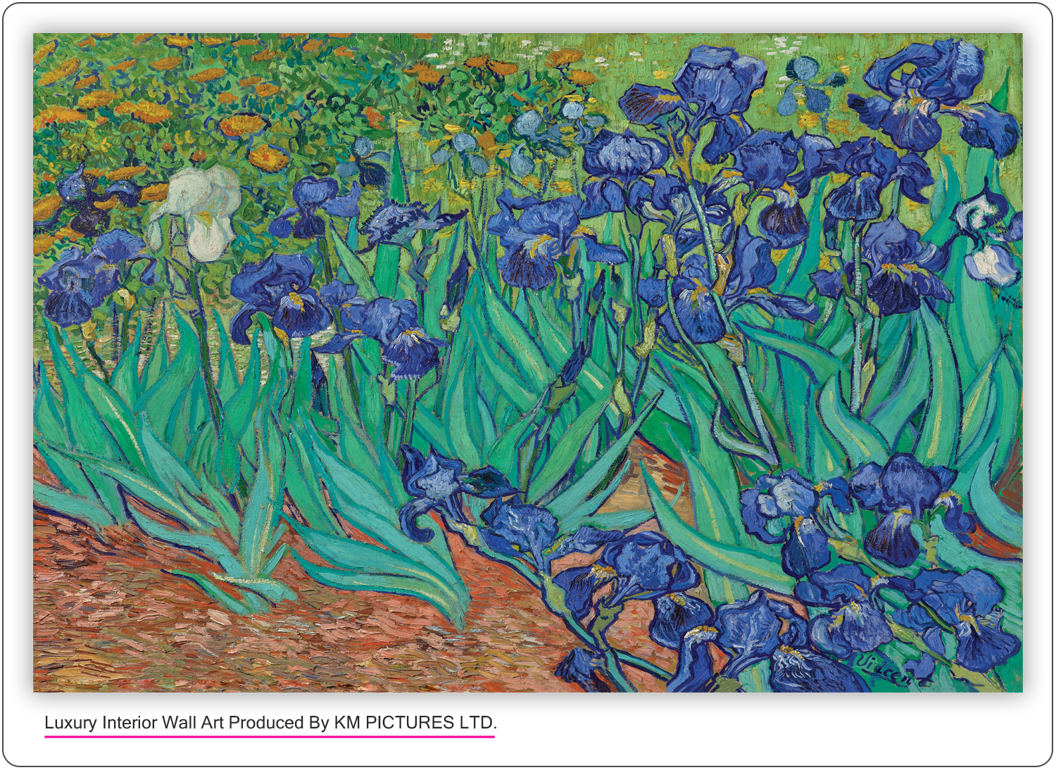 Irises, 1889