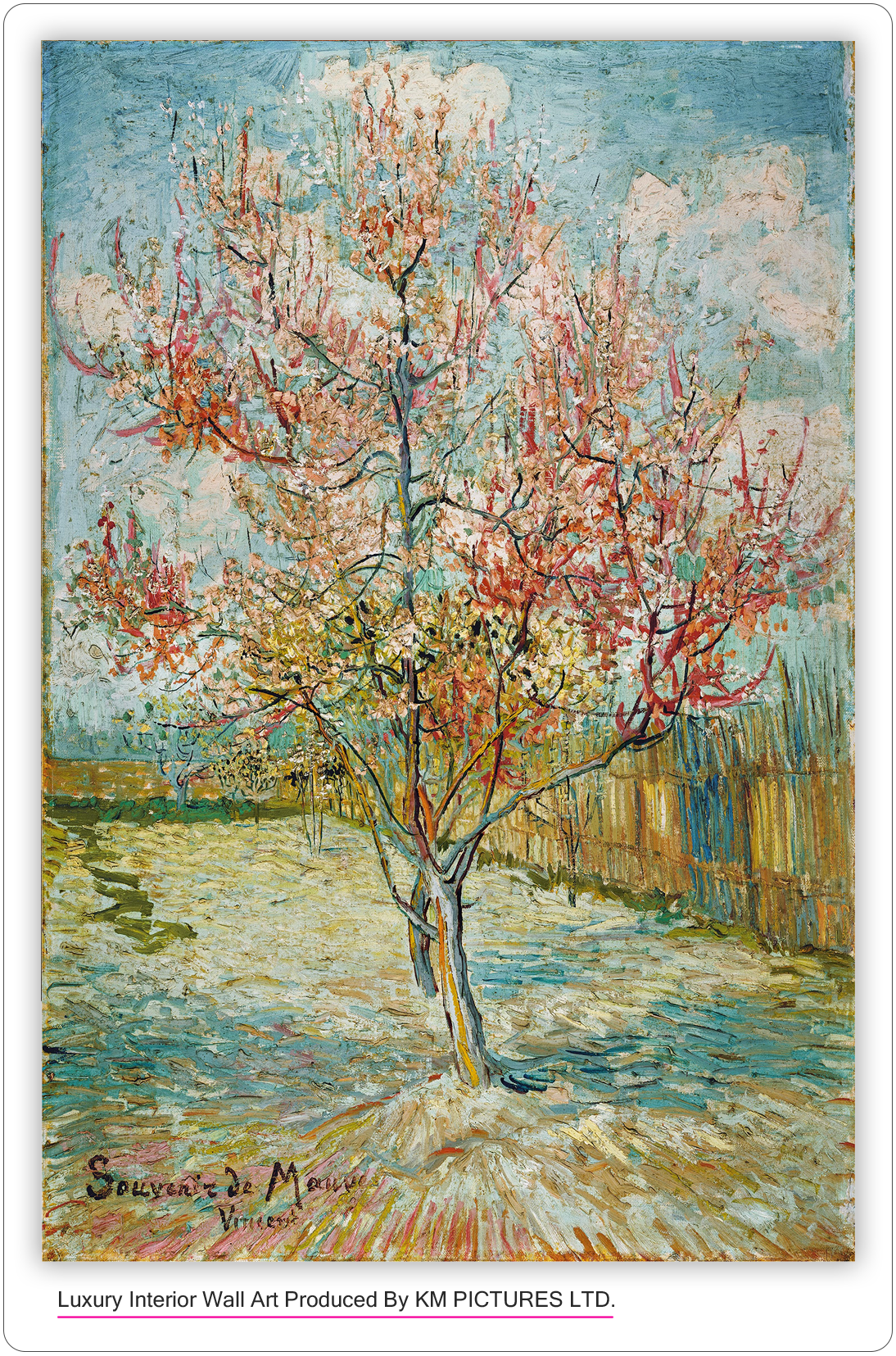 Pink peach trees ('Souvenir de Mauve'), 1880