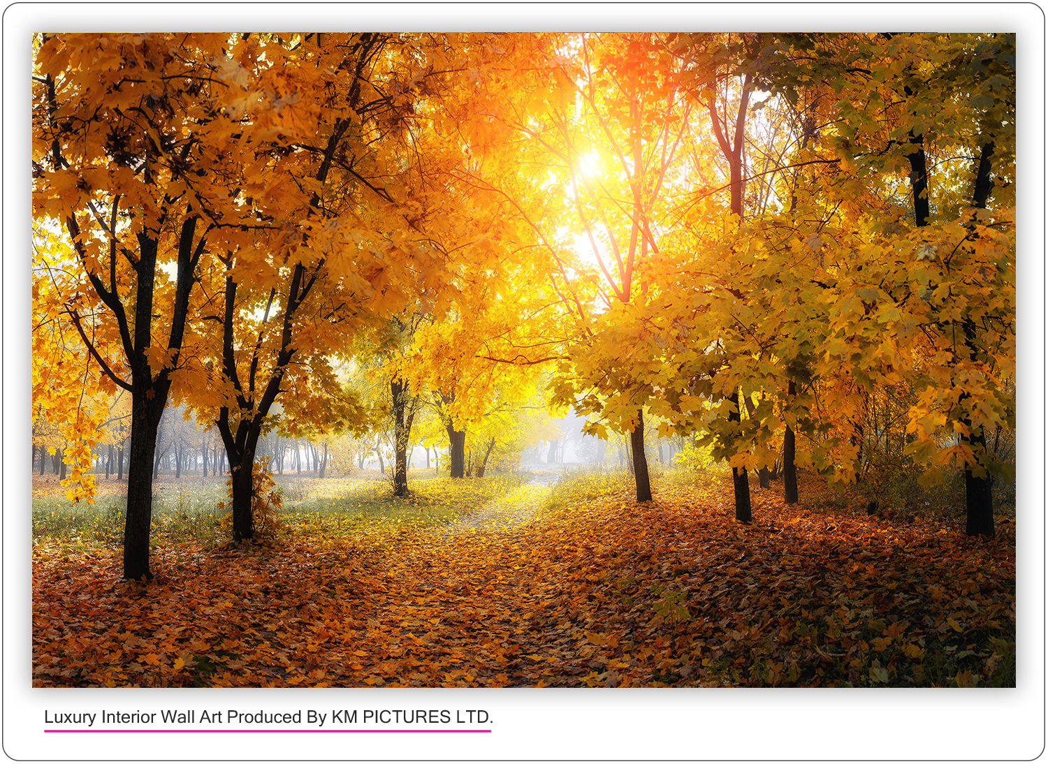 Colourful trees and rural road in deep autumn forest